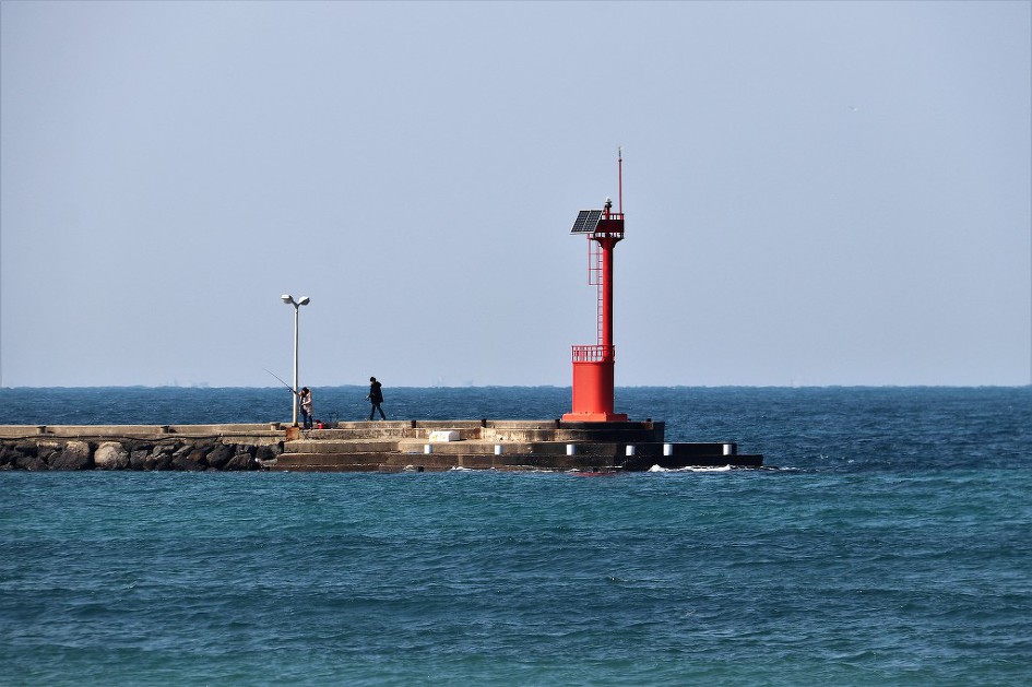 [제주도]  이호테우 해변 목마 풍경   (20190123)