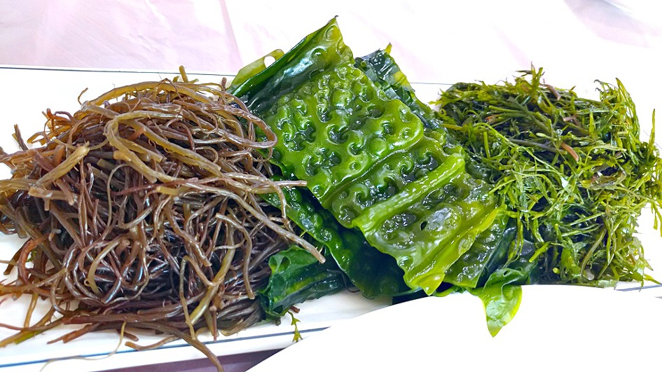 울진 대게축제는 못보고 대게만 배부르게 먹었다/울진맛집 동해회대게
