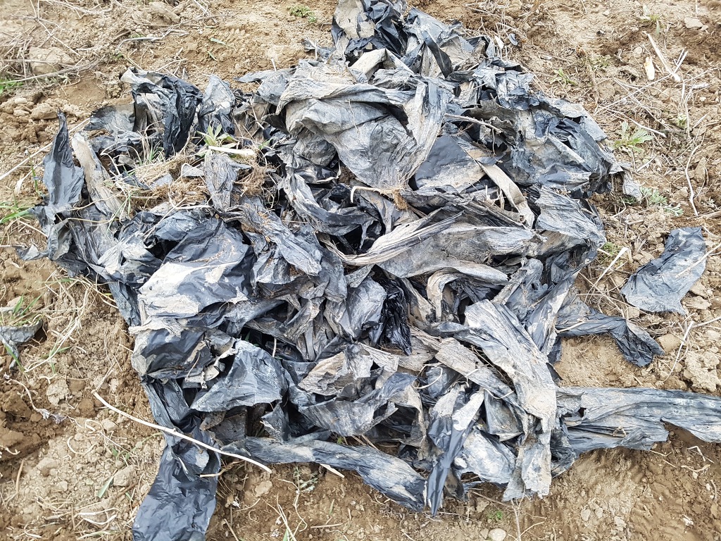 고성,삼척 대 화재 발생, 식목일 날인데...