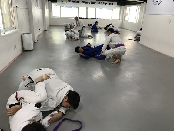 신촌주짓수,마곡주짓수 토요일,일요일 주말반주짓수