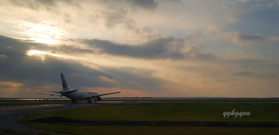 오키나와 국제거리 190115