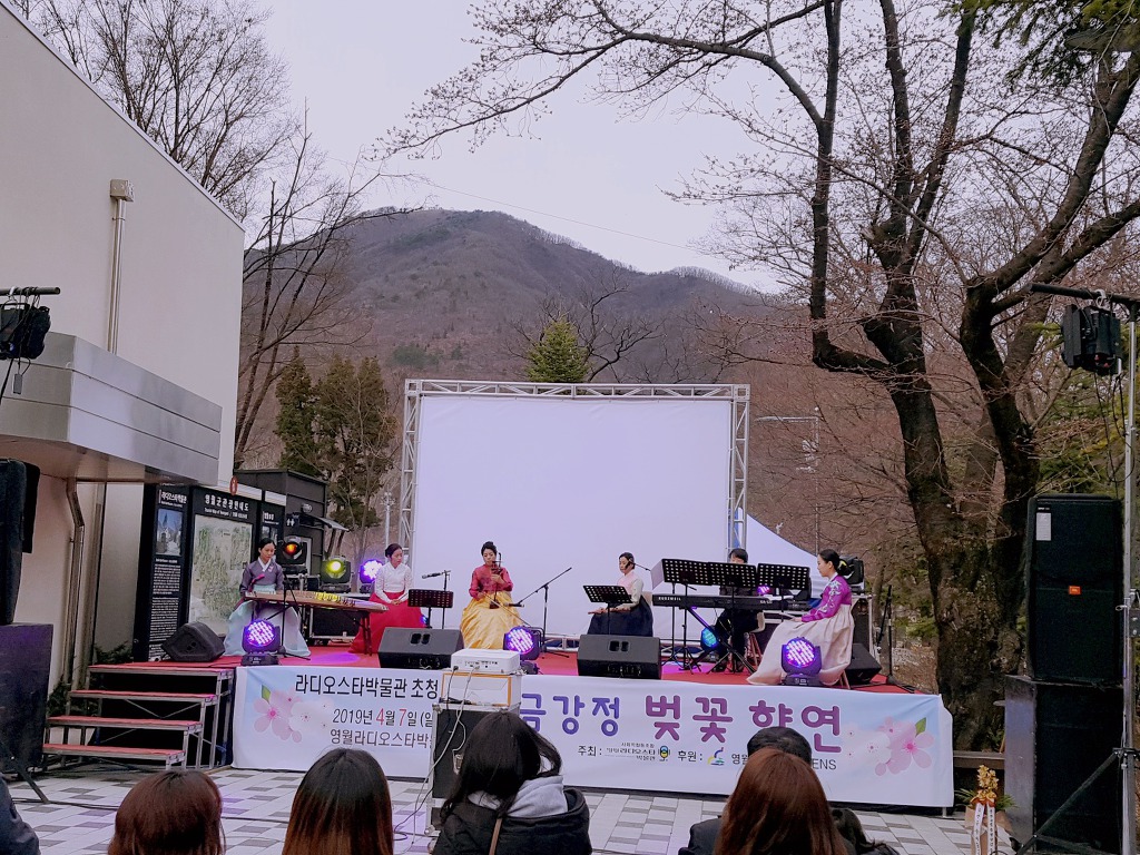 영월 라디오스타박물관 초청 음악회 '금강정 벚꽃향연'