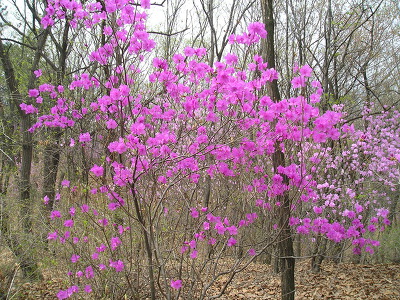이제 그만 던져버리세요 