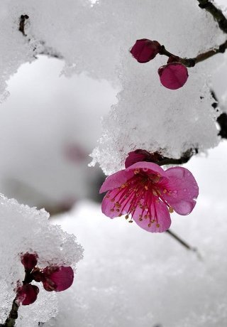 호박통신 이미지