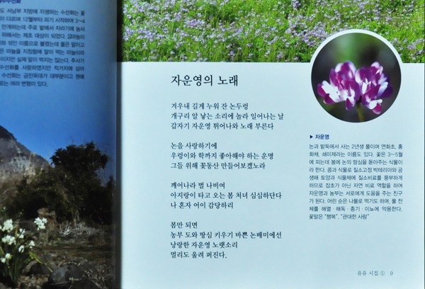 꽃노래(유유시집5)