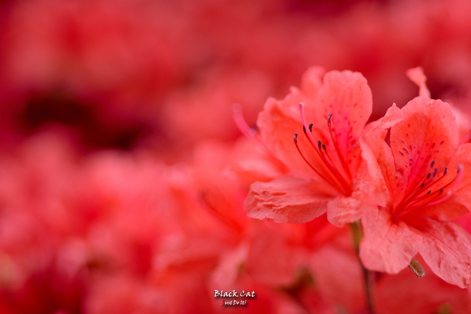 공감대(It's OK-54)-경남남해 대경대학교연수원