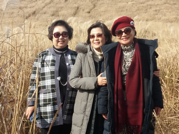제주 새별오름에서