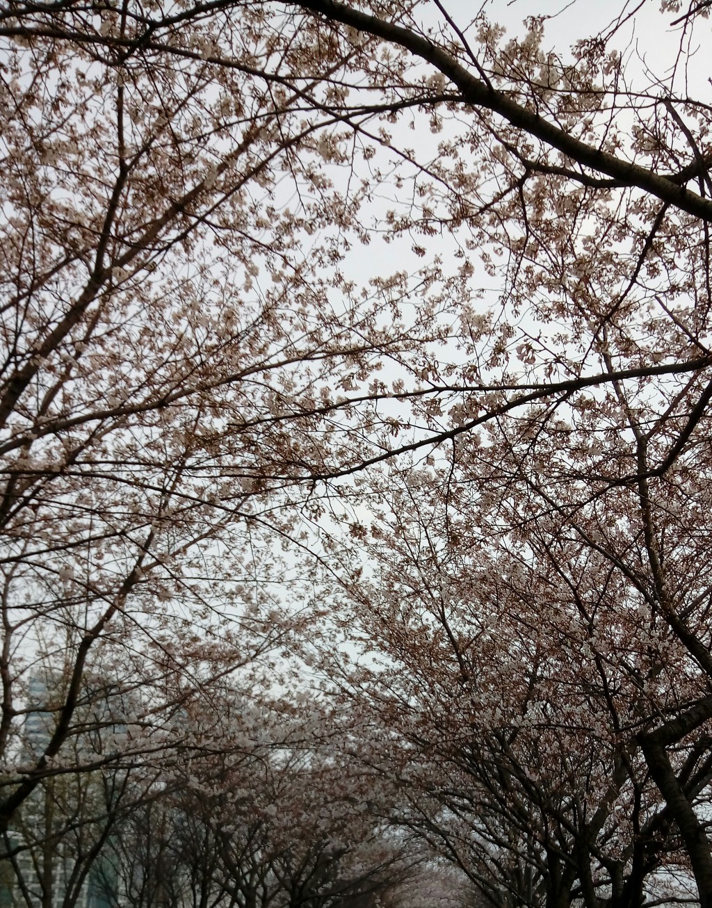 사월을 보내며
