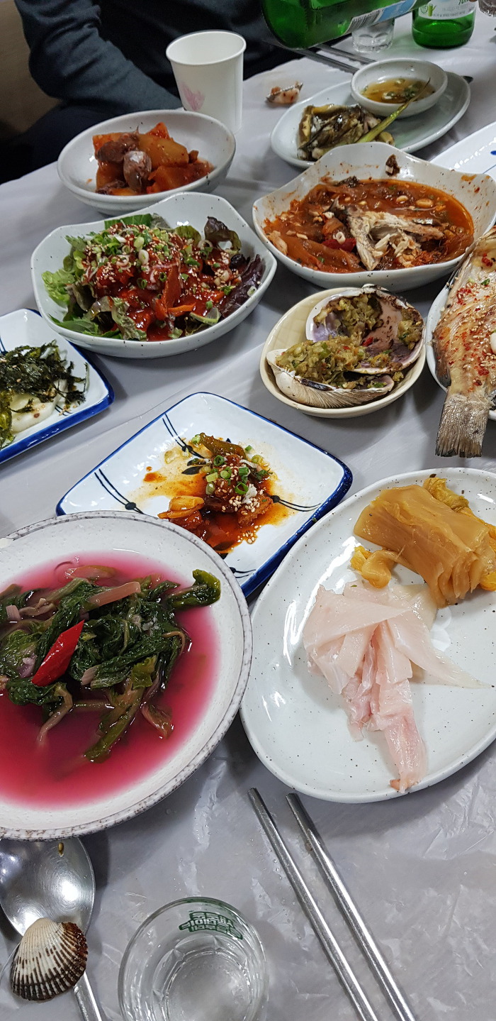 남쪽 여행