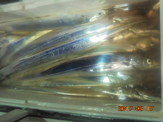99AB59335994FF1F18A554
