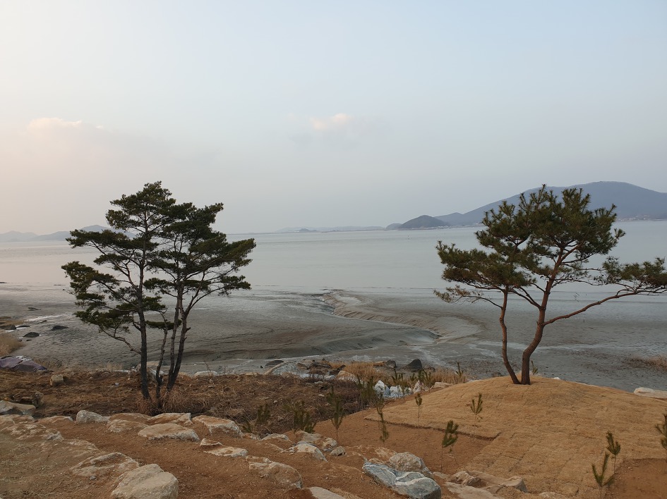 사진보기
