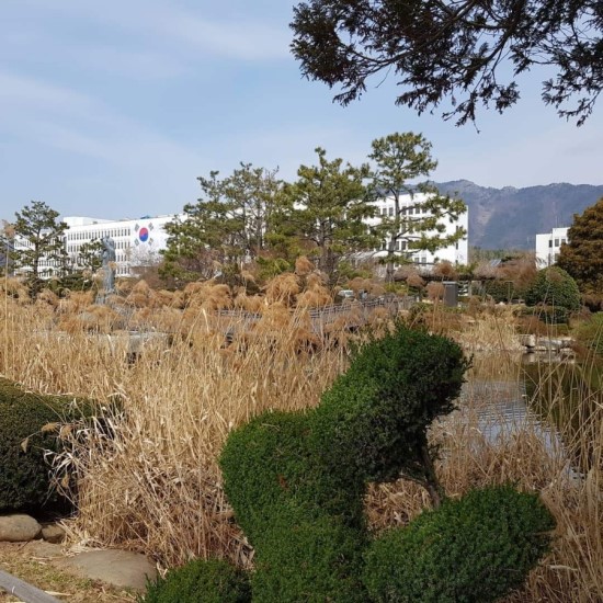 20190309(토)_풍경★경남도청_봉하마을_창원마산야구장 (작성자: 모범시민)