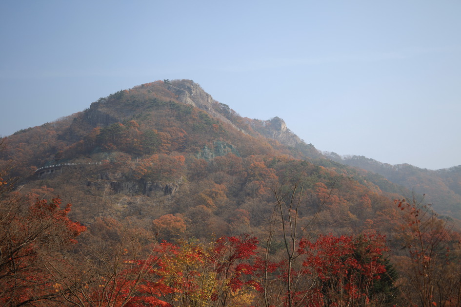 내차로,열흘간 시간여행,11일째(여수,내장산단풍)