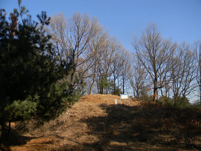 성두산에 조성된 백제시대 산성 유적, 구성동산성 (갑천)
