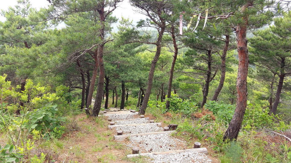 동해안 해파랑길의 일부를 걸었습니다.