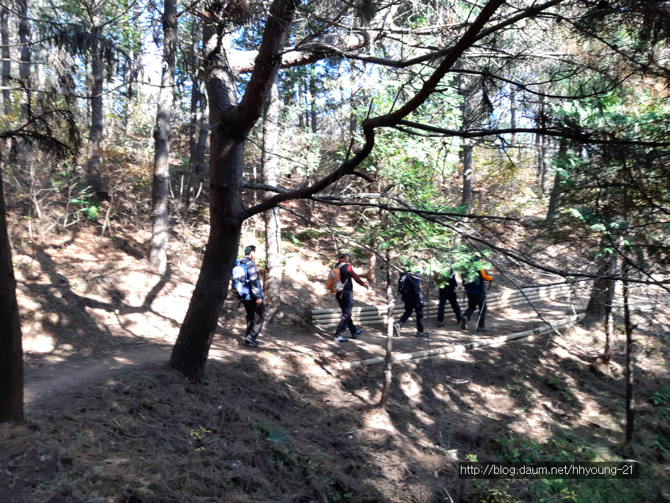 부산 사하구 다대동 아미산(234.1m) 둘레길에서....