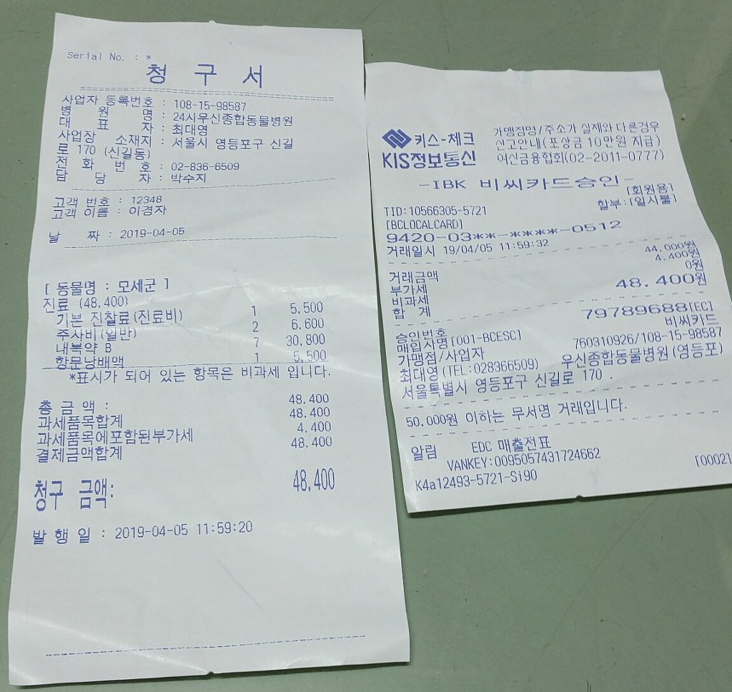 2019. 4. 5(금)말티즈 믹스견 모세군 병원2차