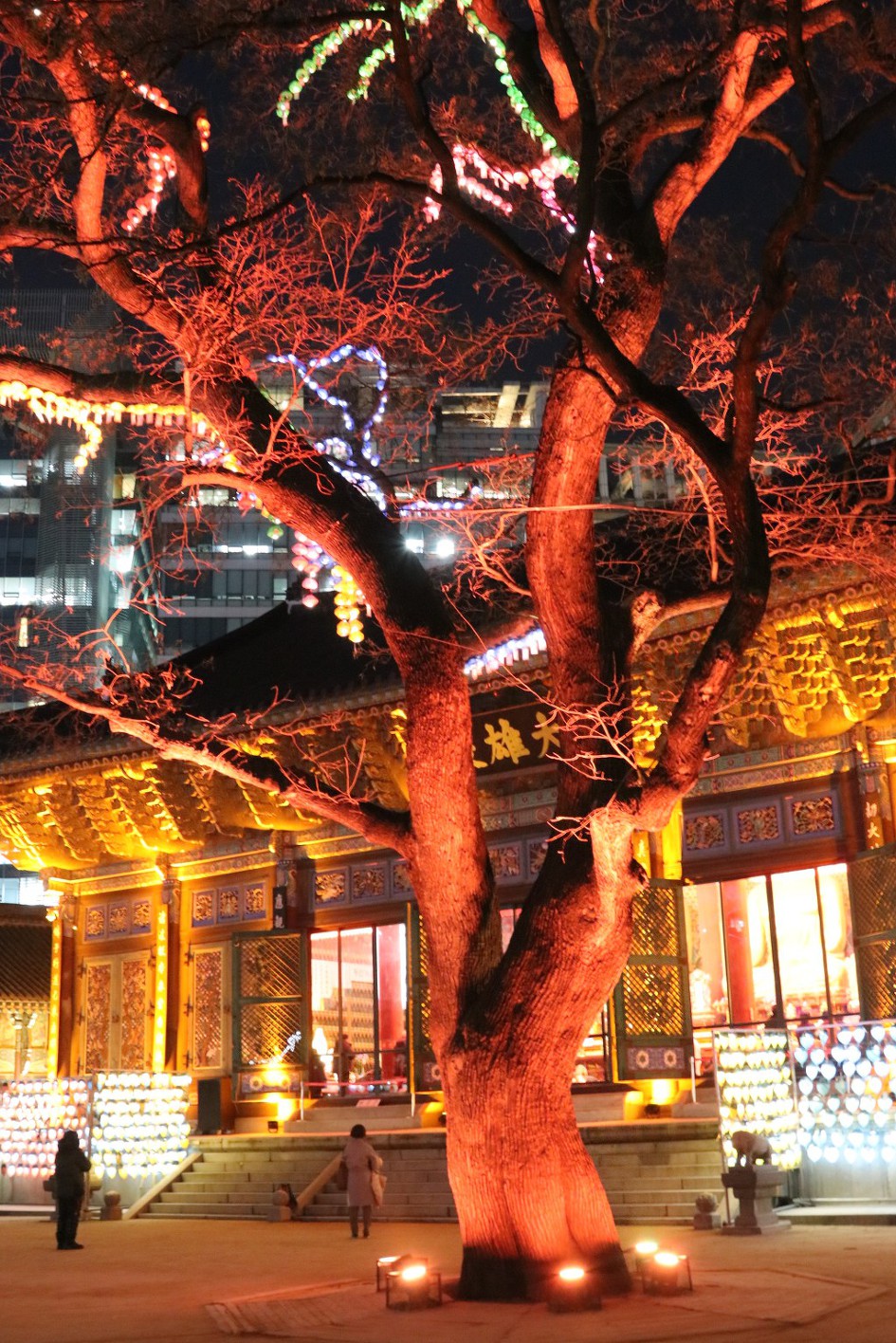 [시내야경] 종로 '조계사의 야경' 모습을 두루 담았습니다.   2/2    (20181219)