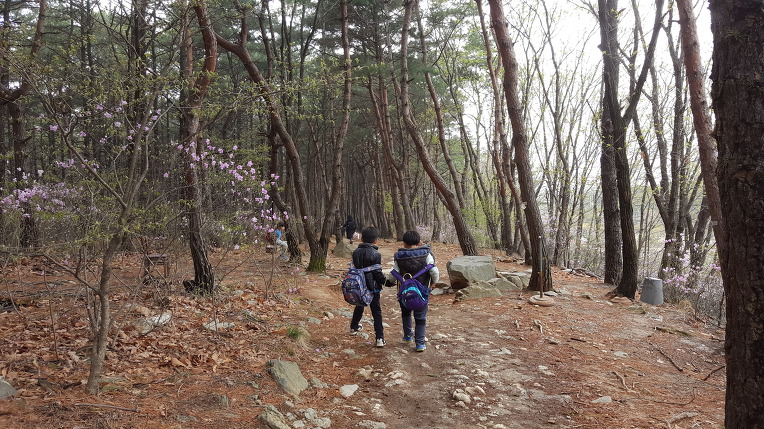 더블클릭을 하시면 이미지를 수정할 수 있습니다