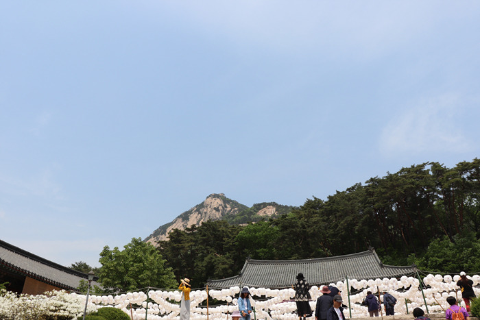 원본이미지(클릭)